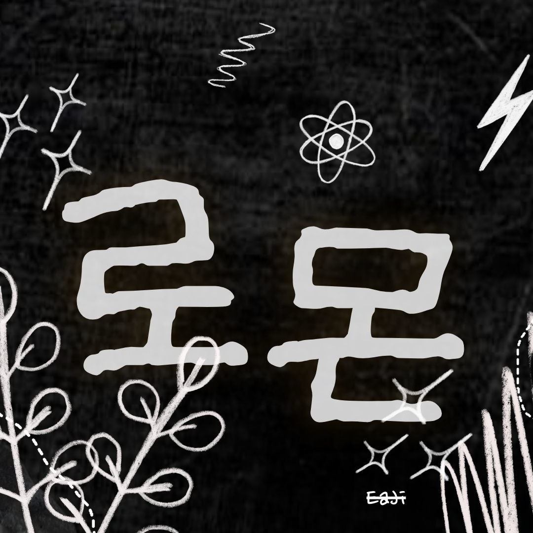 로몬 팬이 찍은 순간