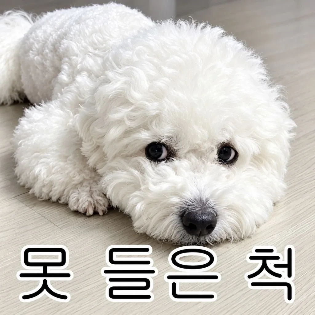 Latest photo of Jin Haesung