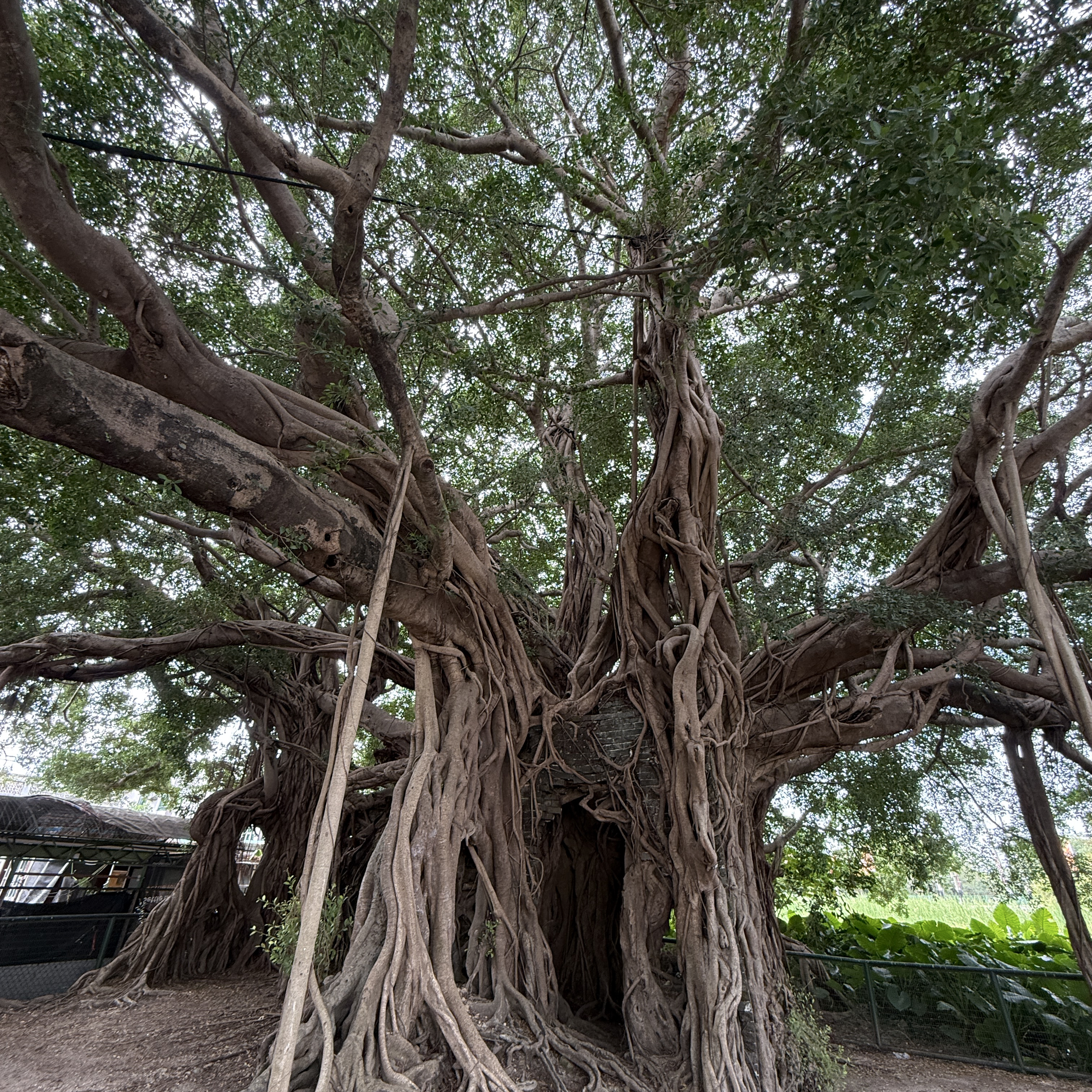 Momen yang diabadikan oleh penggemar Kim Goeun