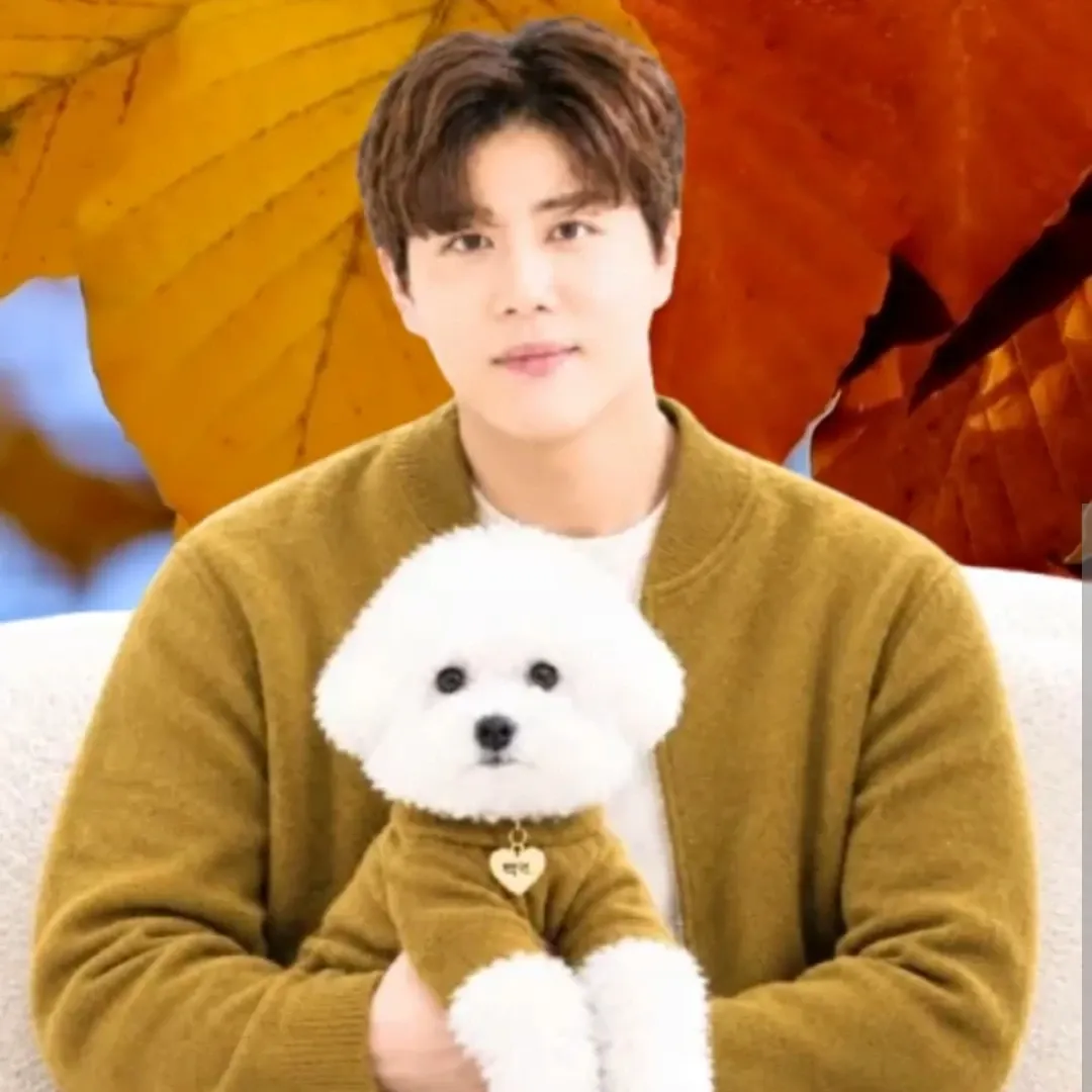 Recent activity shot of Jin Haesung