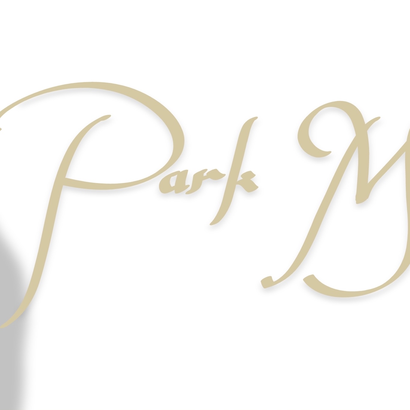 Recent activity shot of Park Minyoung