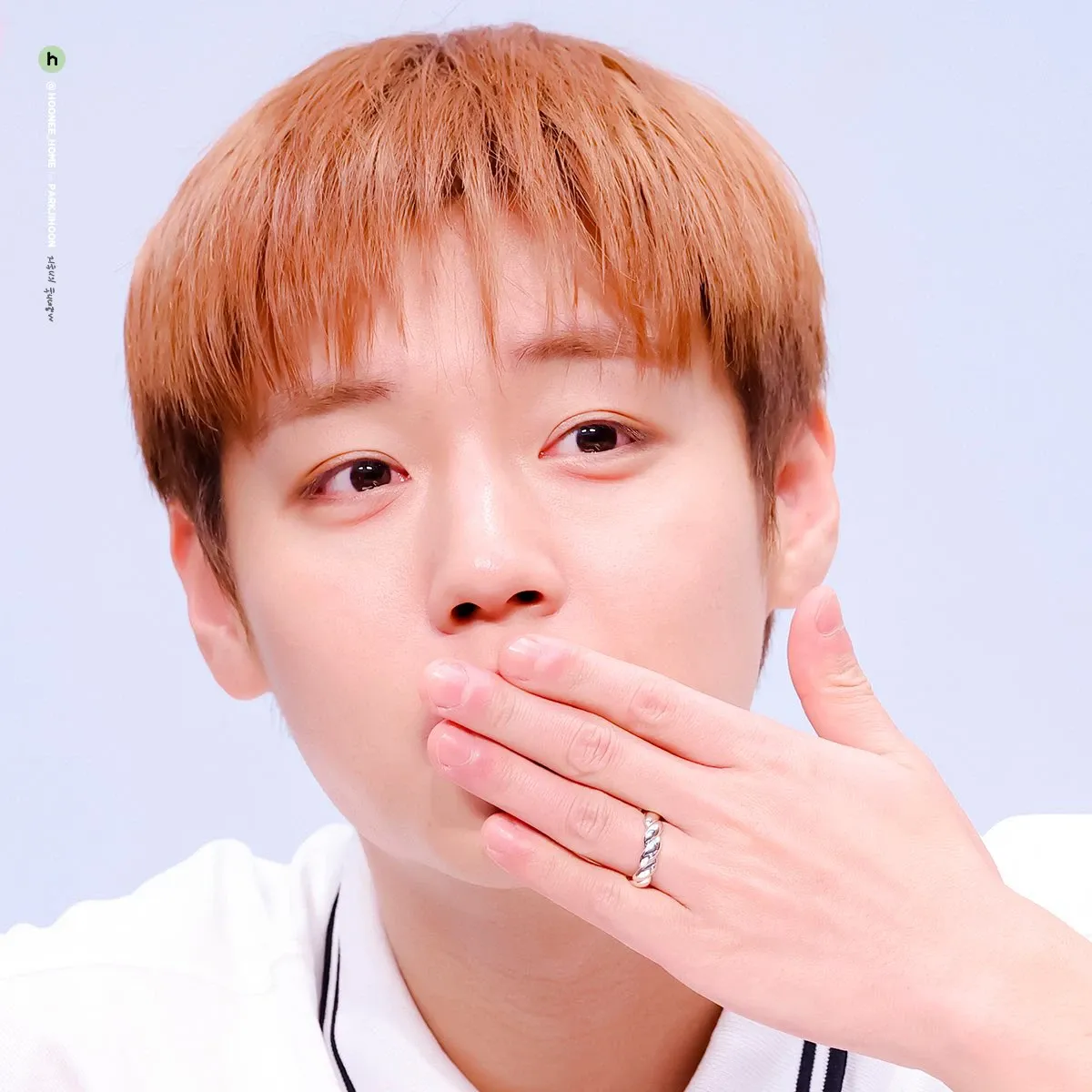 A moment captured by a fan of Park Jihoon