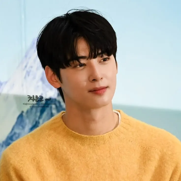A moment captured by a fan of Cha Eunwoo