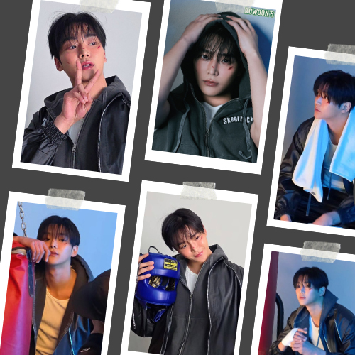 路云的近期活动照