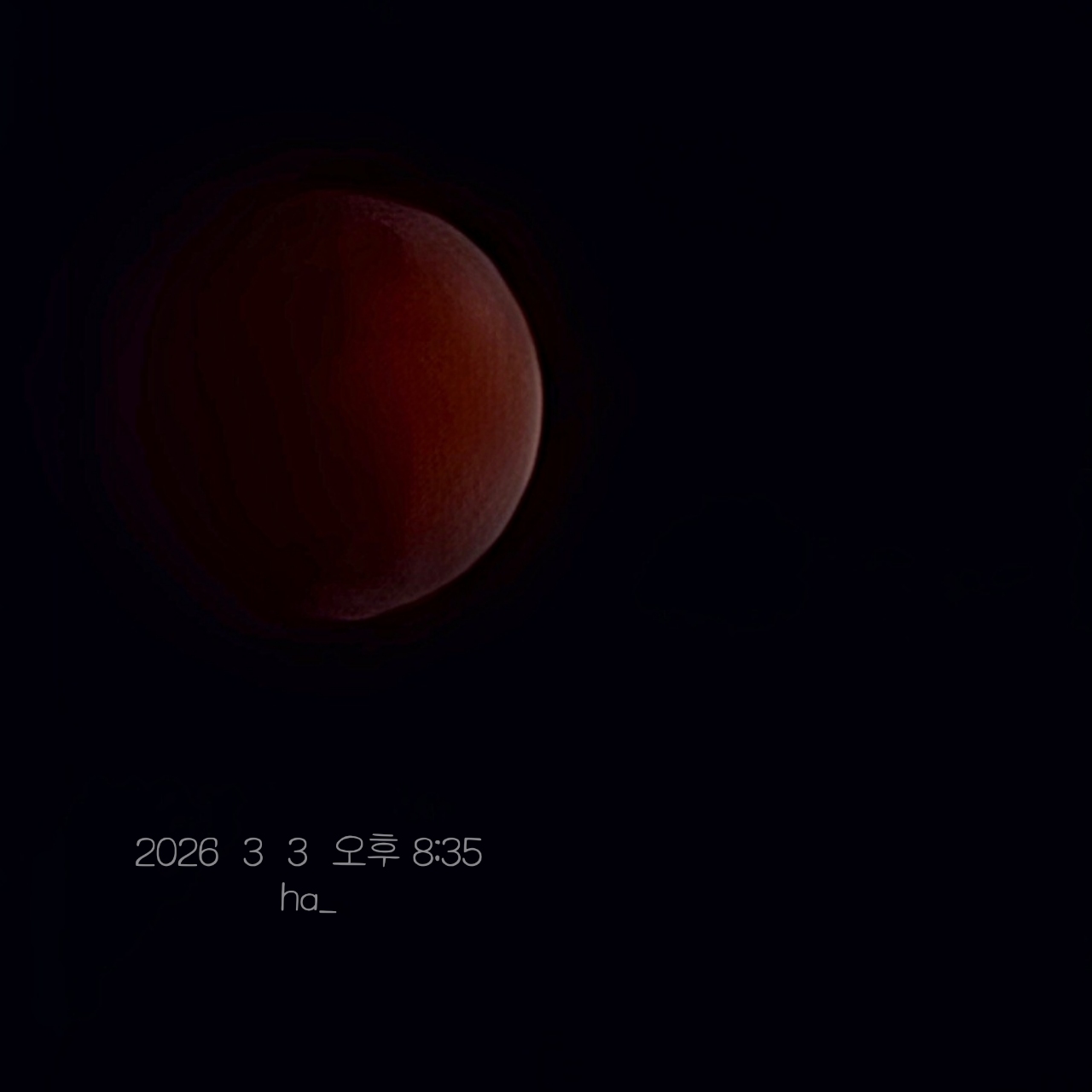 A moment captured by a fan of Jin Haesung