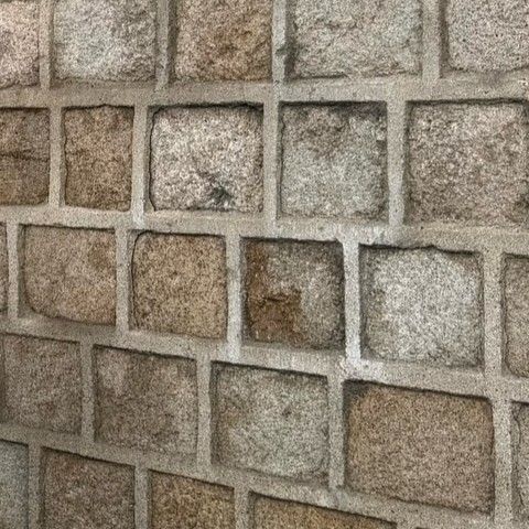 Recent activity shot of Bona