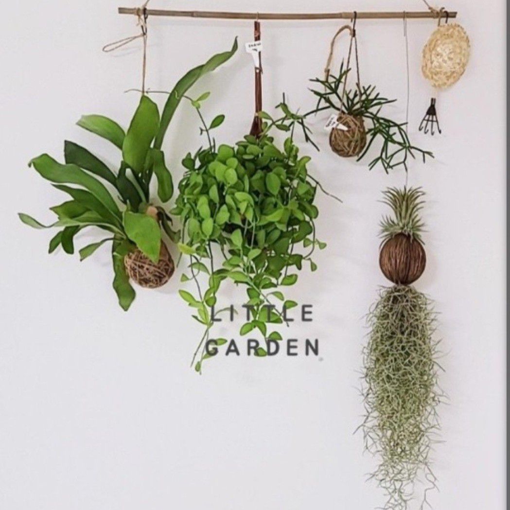 金浩中的幕后花絮