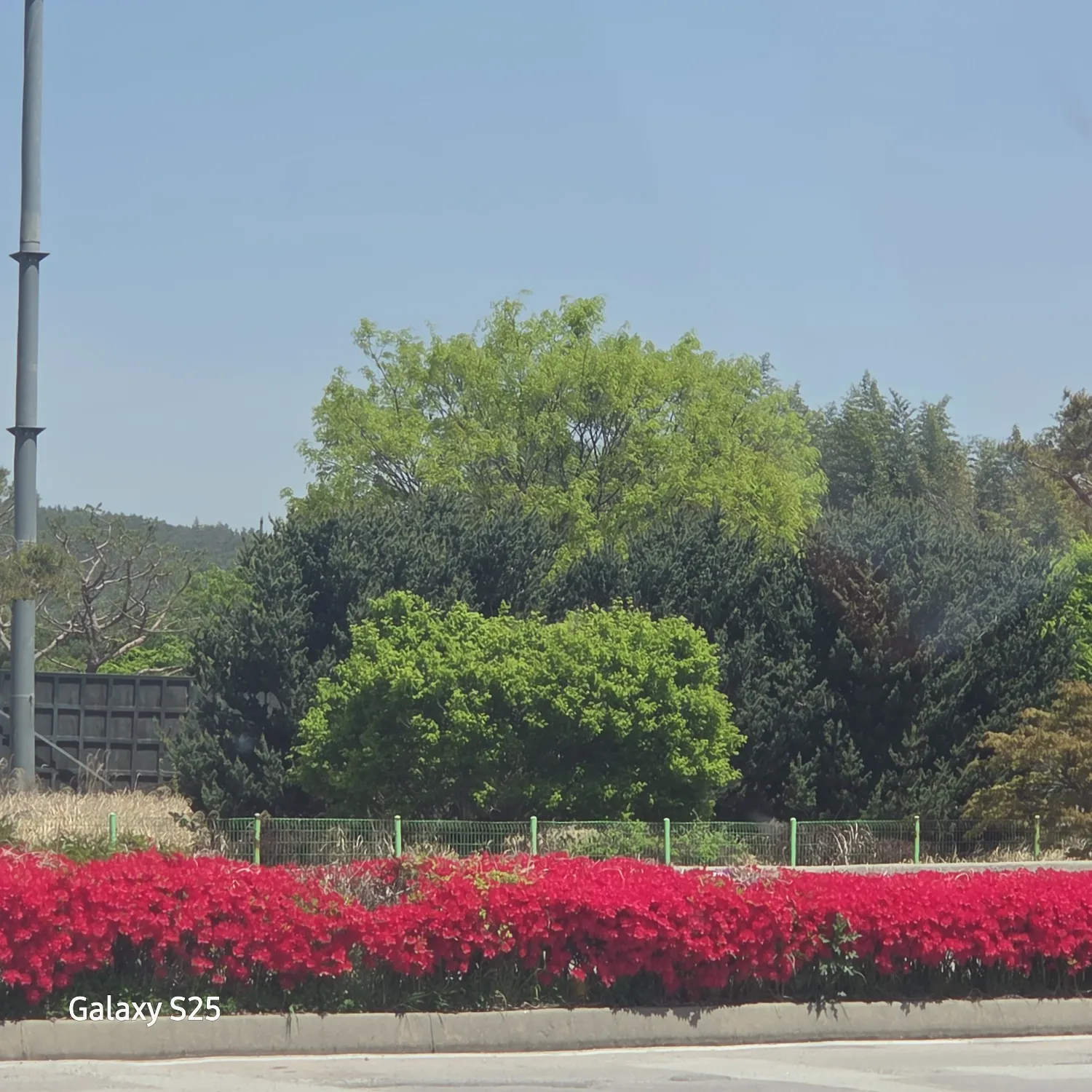 張民好的幕後花絮