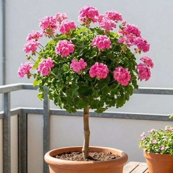 李灿元的最新照片