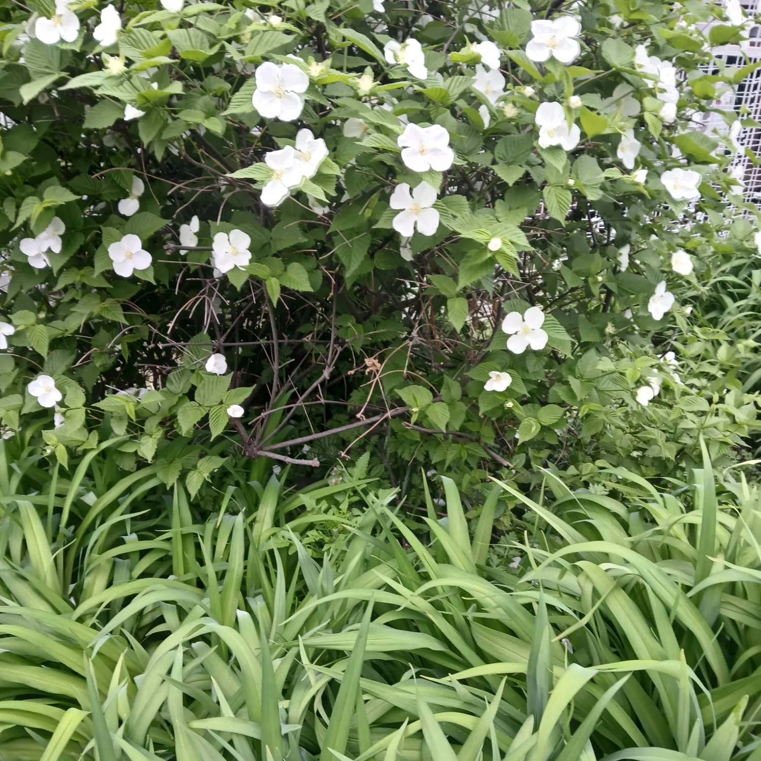 粉丝拍下的朴瑞镇瞬间