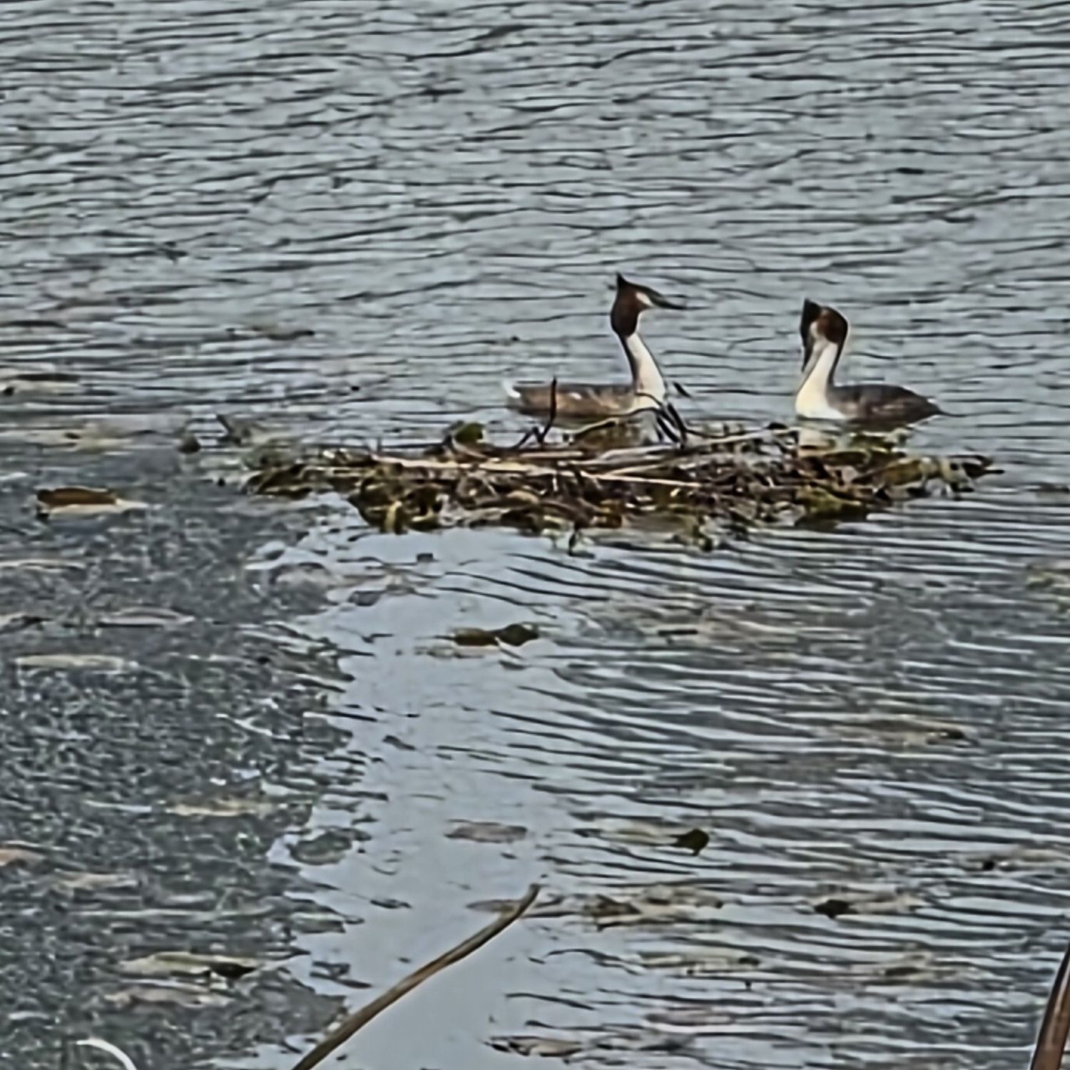 Foto terbaru dari Kim Hojoong