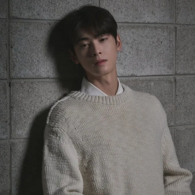 A moment captured by a fan of Cha Eunwoo