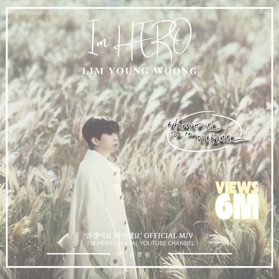 임영웅 팬이 찍은 순간