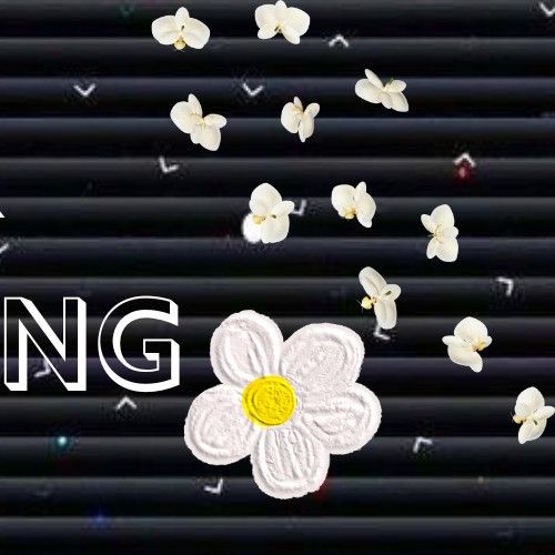 Latest photo of Park Boyoung