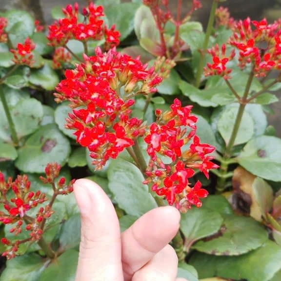 Foto terbaru dari Gumayusi