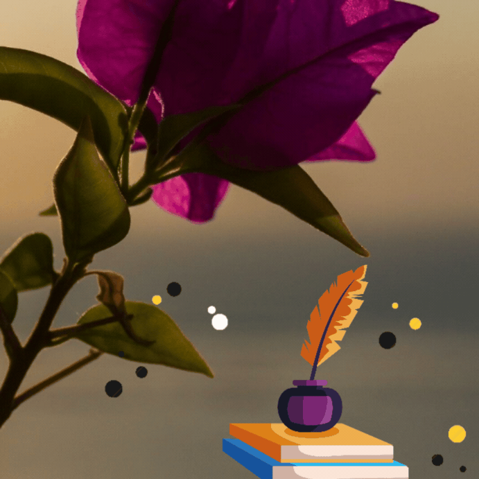 Recent activity shot of YOYOMI