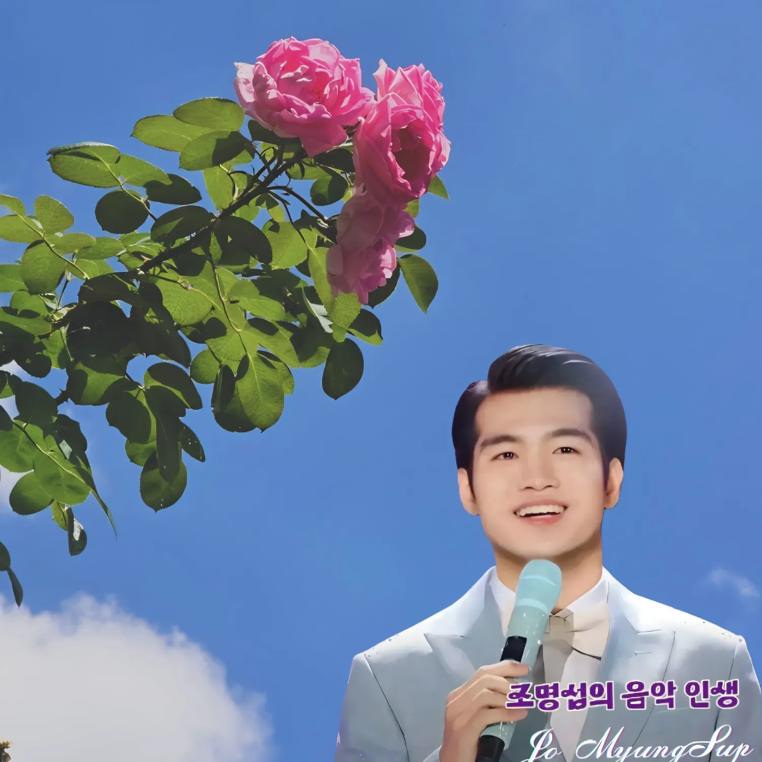 A moment captured by a fan of Jo Myungsup