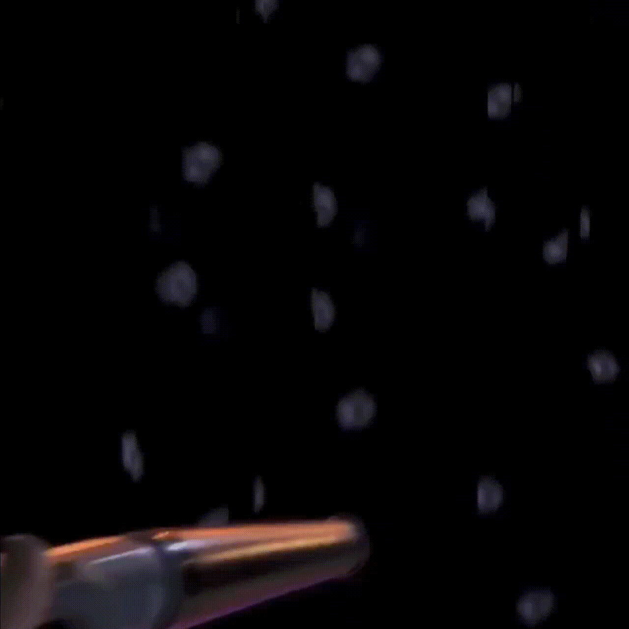 ファンが撮影したジス (1995)の瞬間