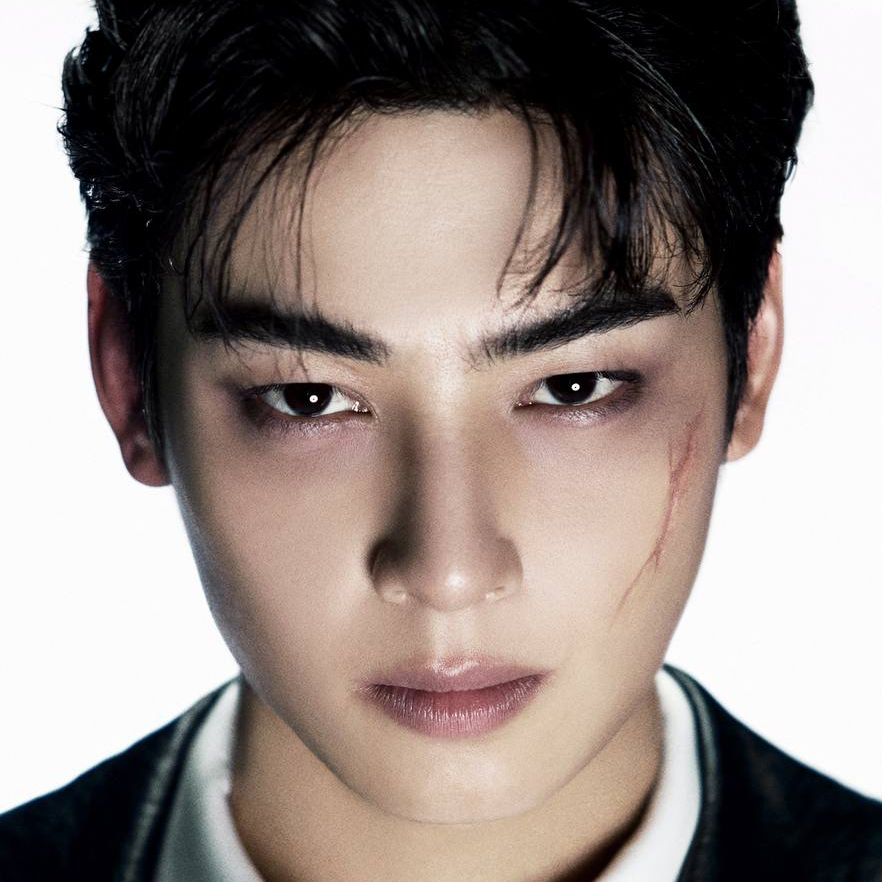 A moment captured by a fan of Cha Eunwoo