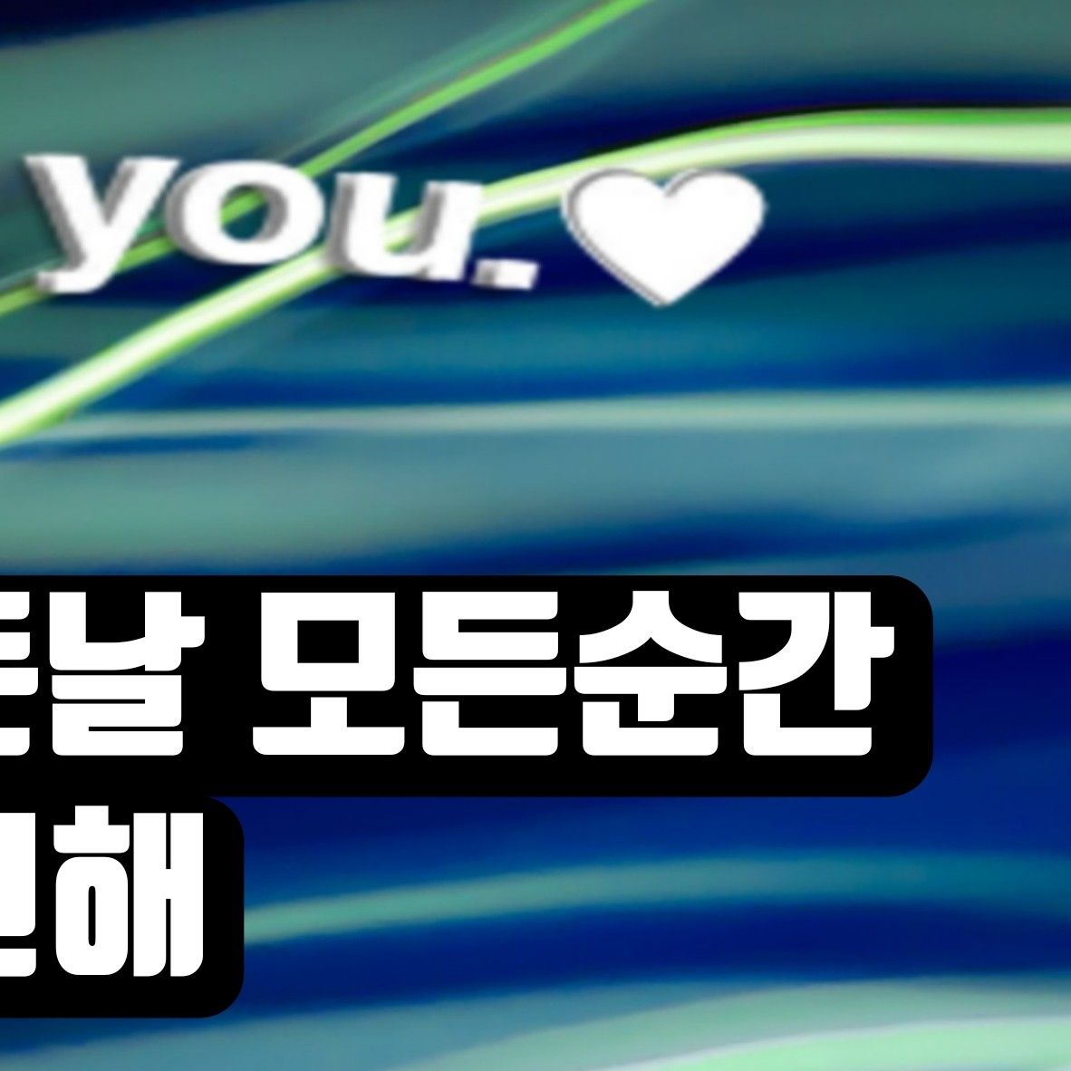 박세욱 팬이 찍은 순간