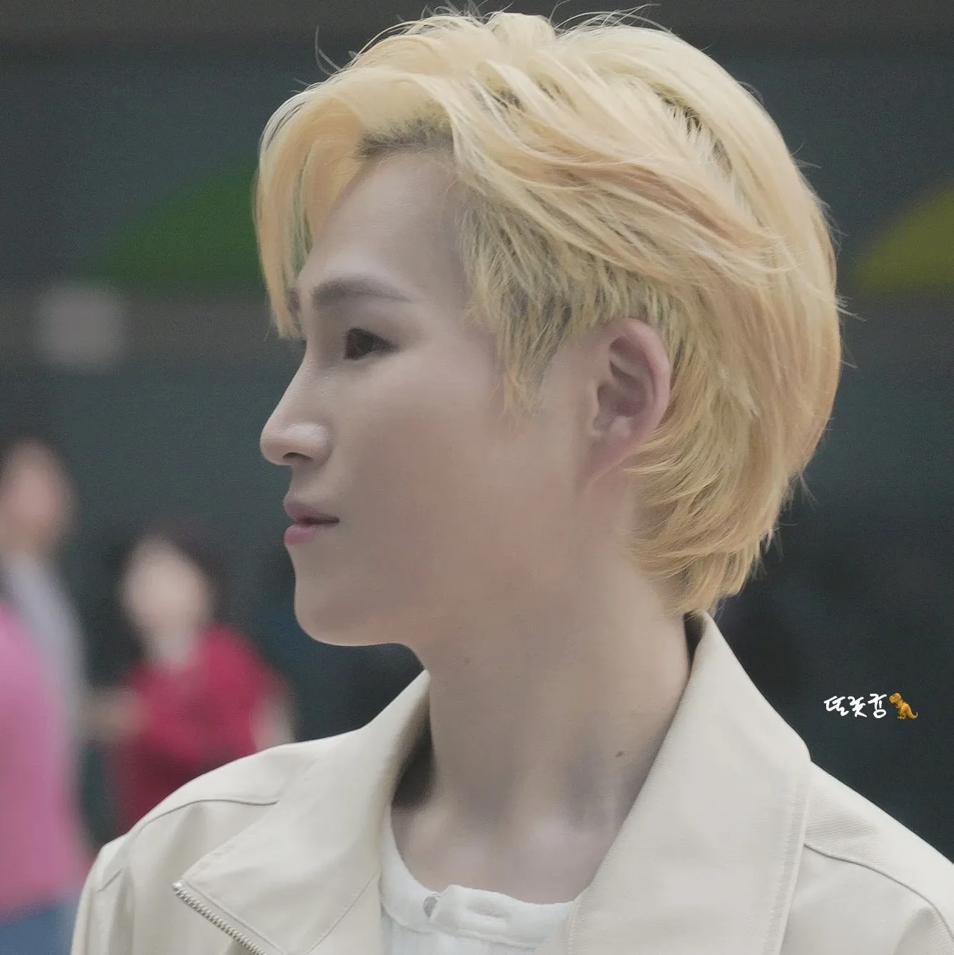 金熙栽的最新照片