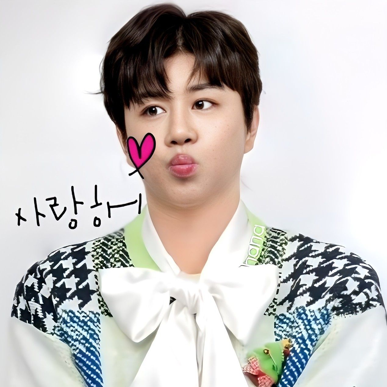 晋海成的近期活动照