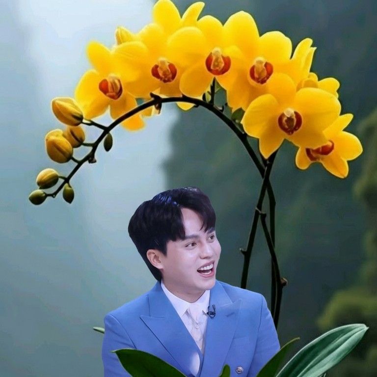 Latest photo of Mooryong