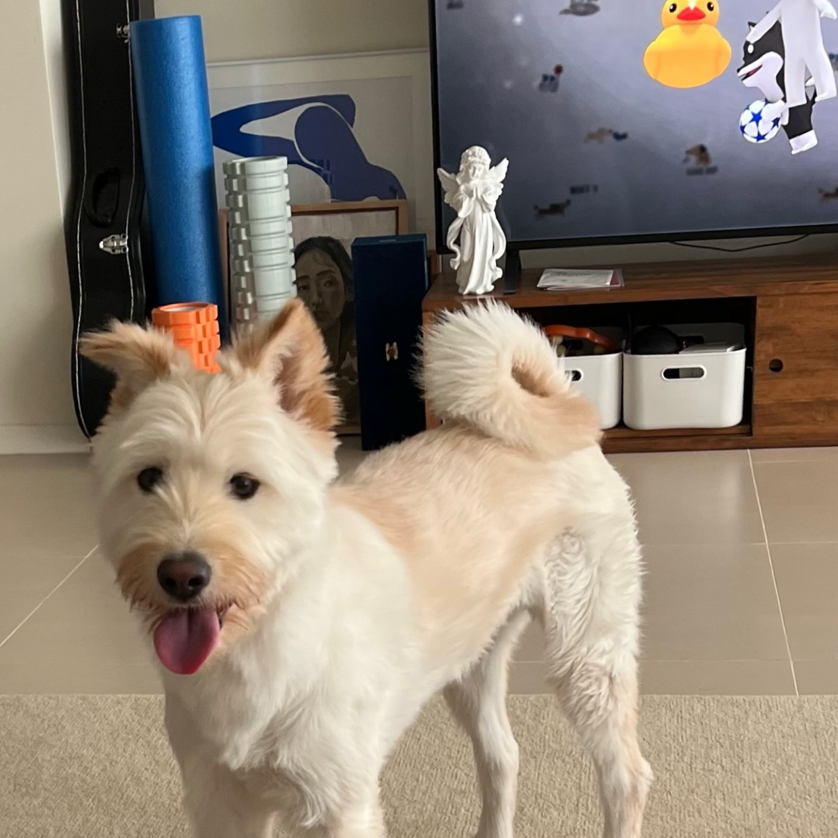 Foto kegiatan terbaru dari Kim Goeun
