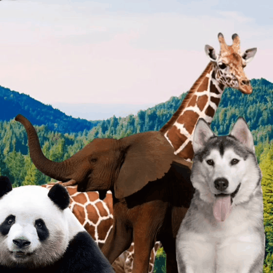 community_articles_contents