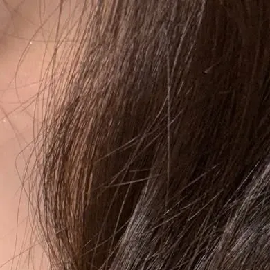 Recent activity shot of Bona