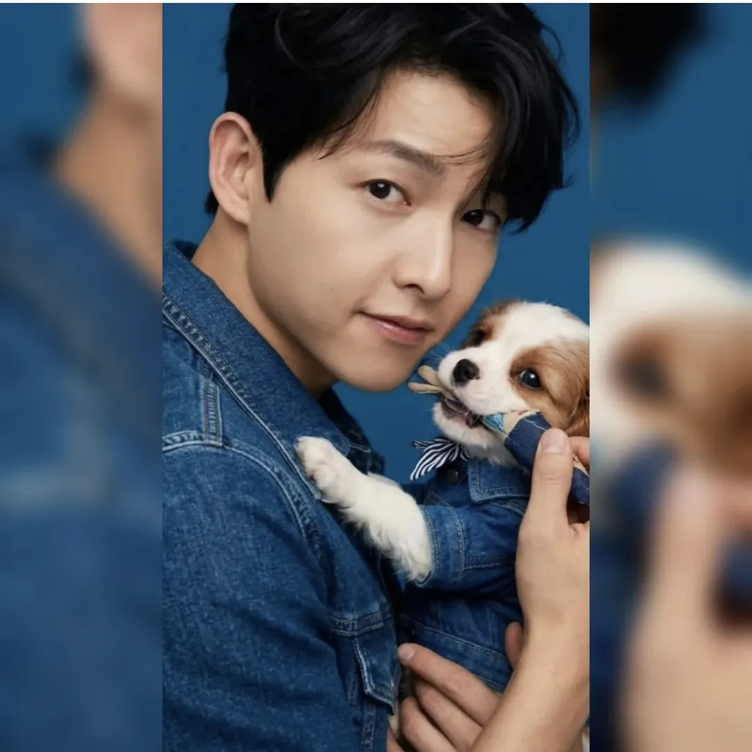 송중기의 최신 사진