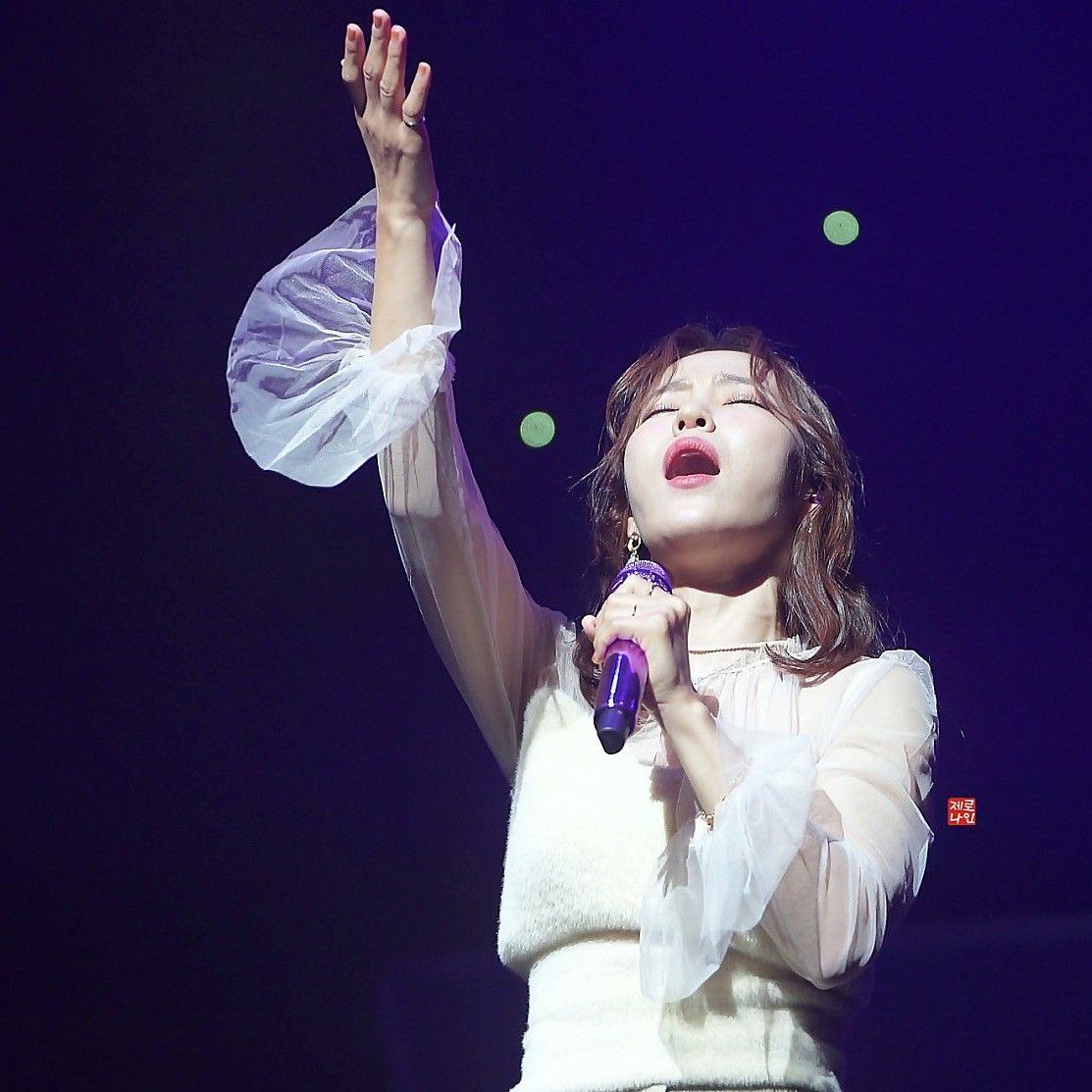 ホンジャの最新写真