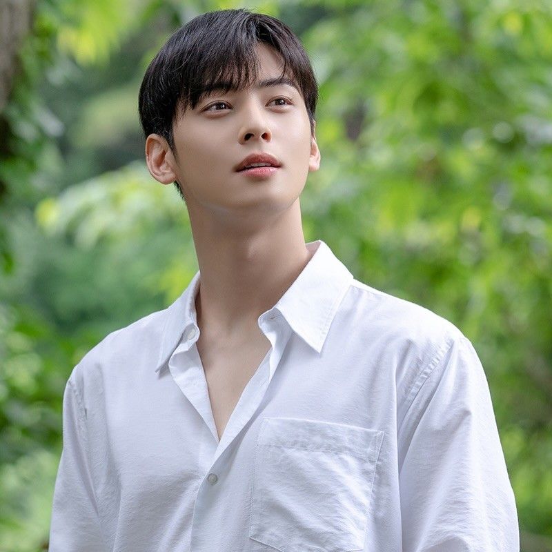 Behind-the-scenes cut of Cha Eunwoo