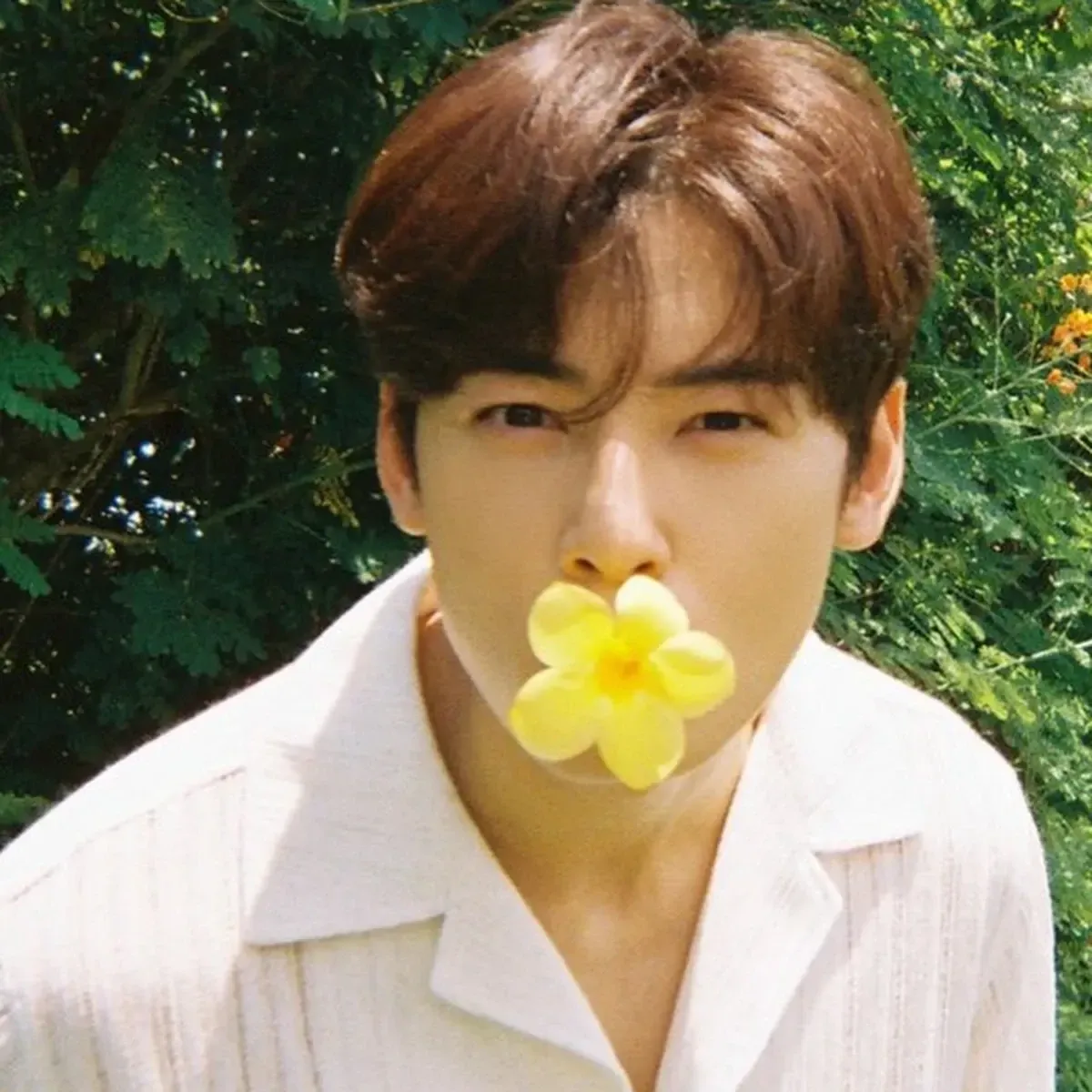 A moment captured by a fan of Cha Eunwoo