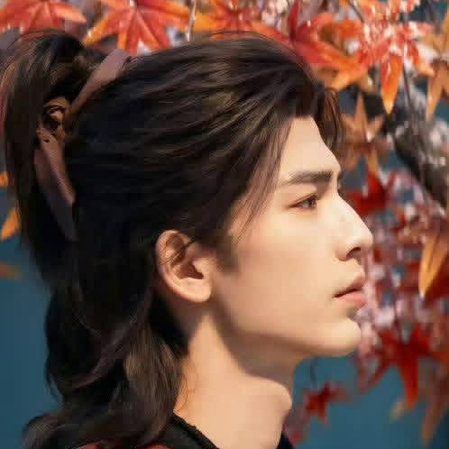 Recent activity shot of Zhang Linghe