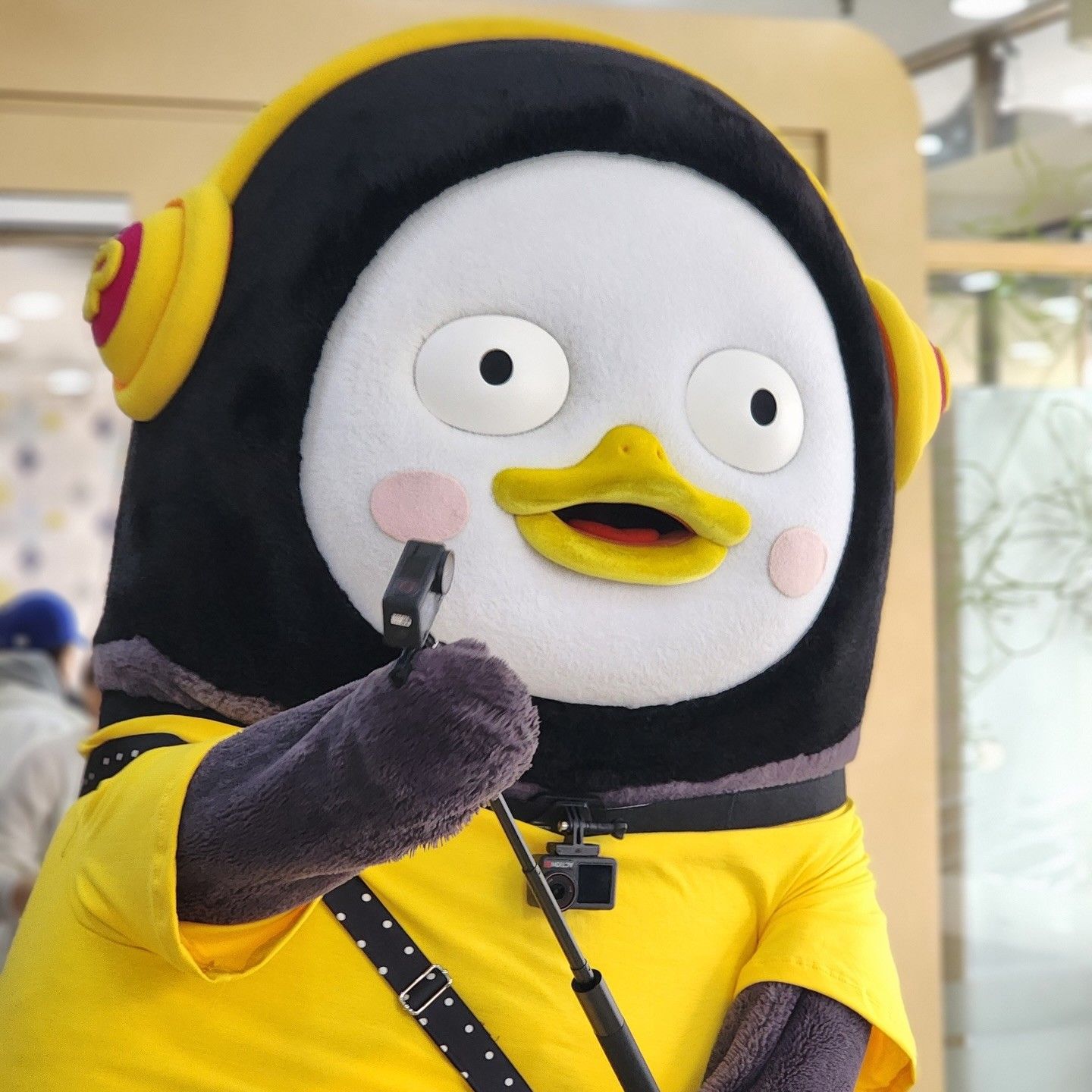 朋秀的近期活動照