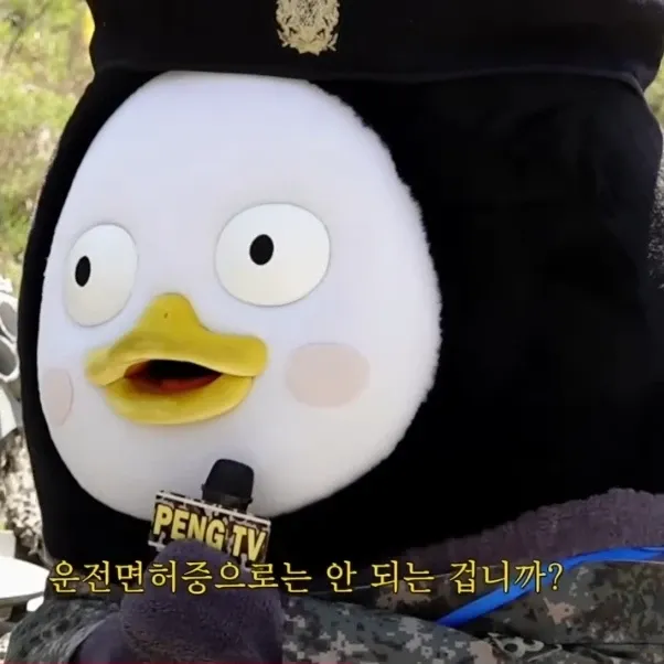 펭수 팬이 찍은 순간