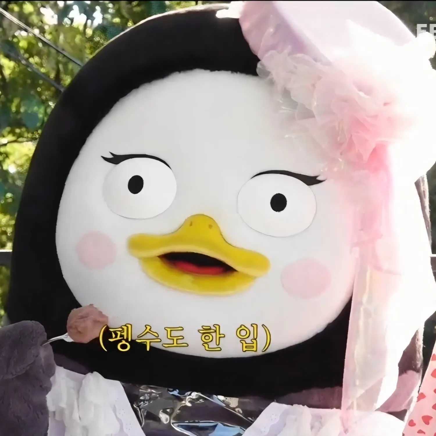 펭수 팬이 찍은 순간