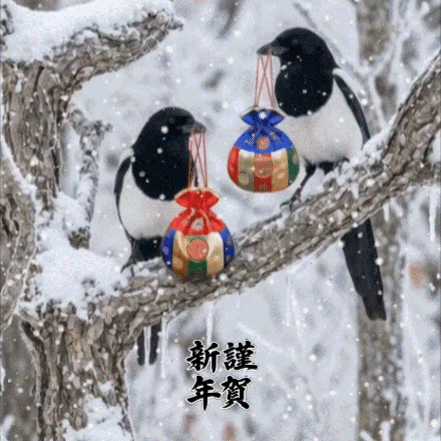 李承允的近期活動照