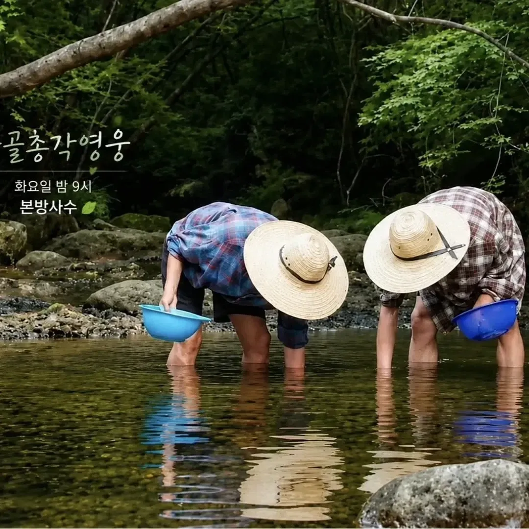 Momen yang diabadikan oleh penggemar Lim Youngwoong