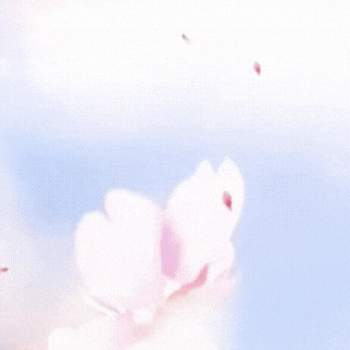 A moment captured by a fan of Kim Seonho