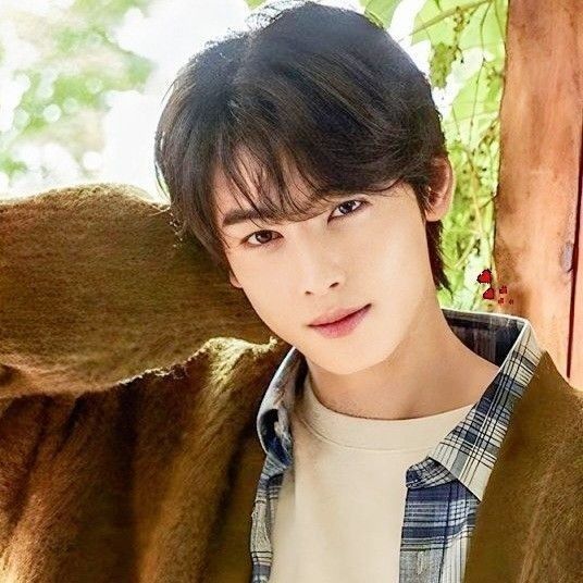 粉丝拍下的车银优瞬间