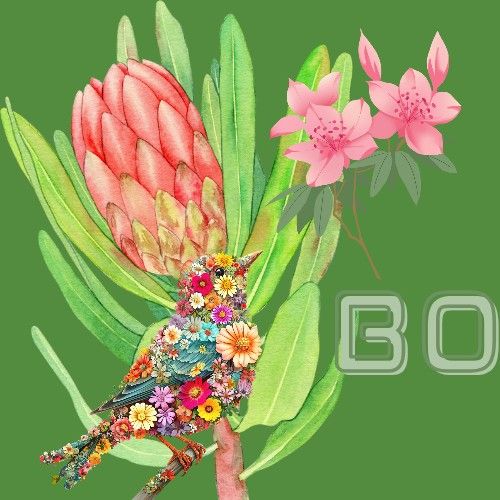 Latest photo of Park Boyoung