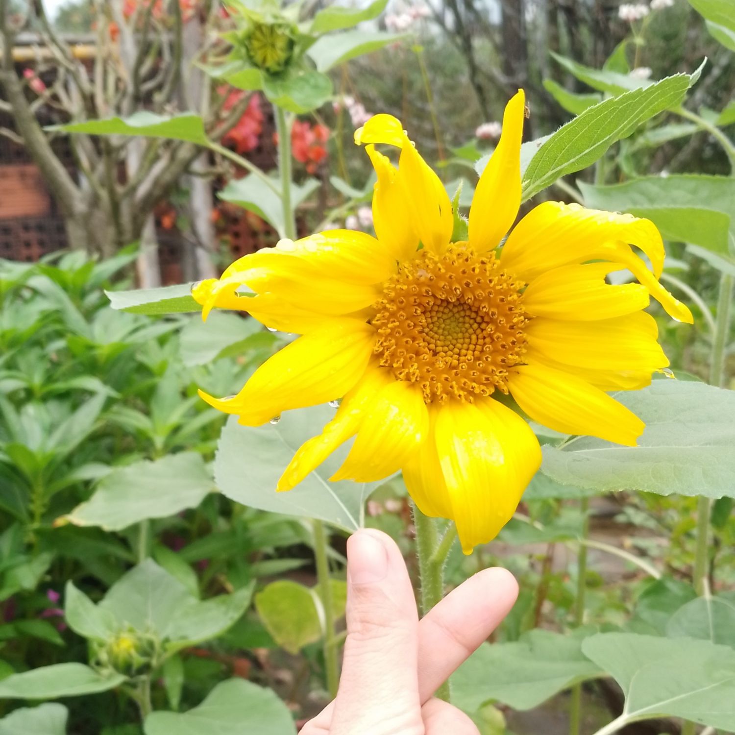 Foto terbaru dari Gumayusi