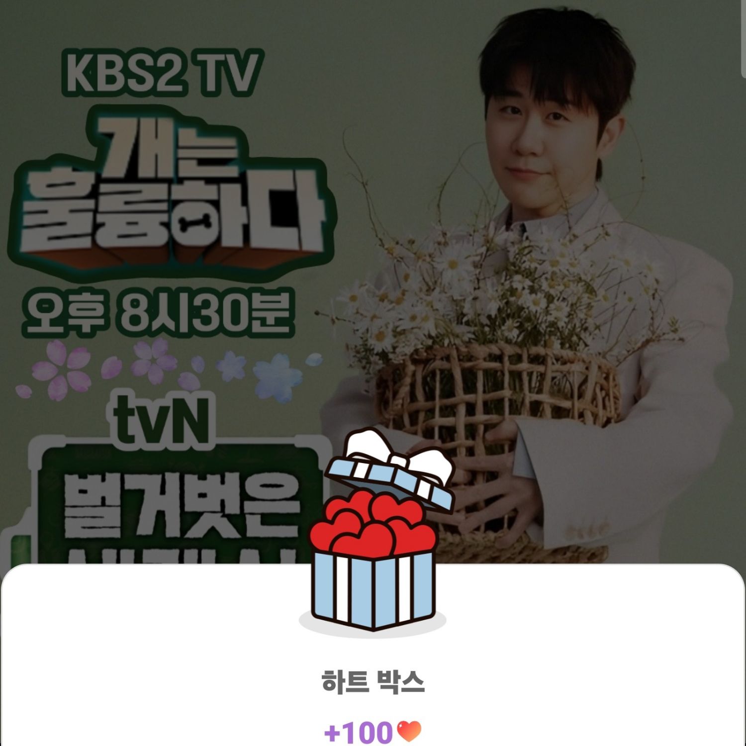 영탁의 최신 사진