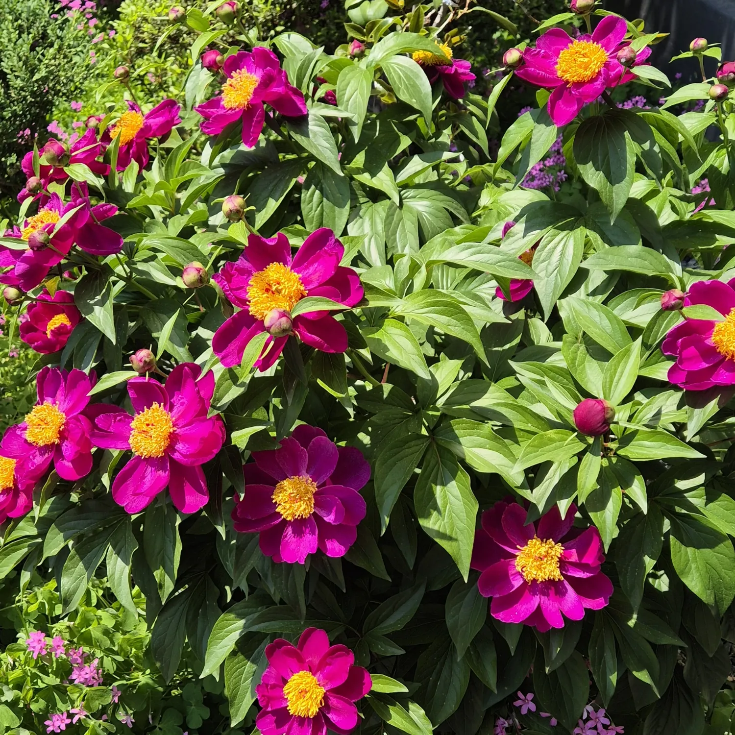 ファンが撮影したイ・チャンウォンの瞬間