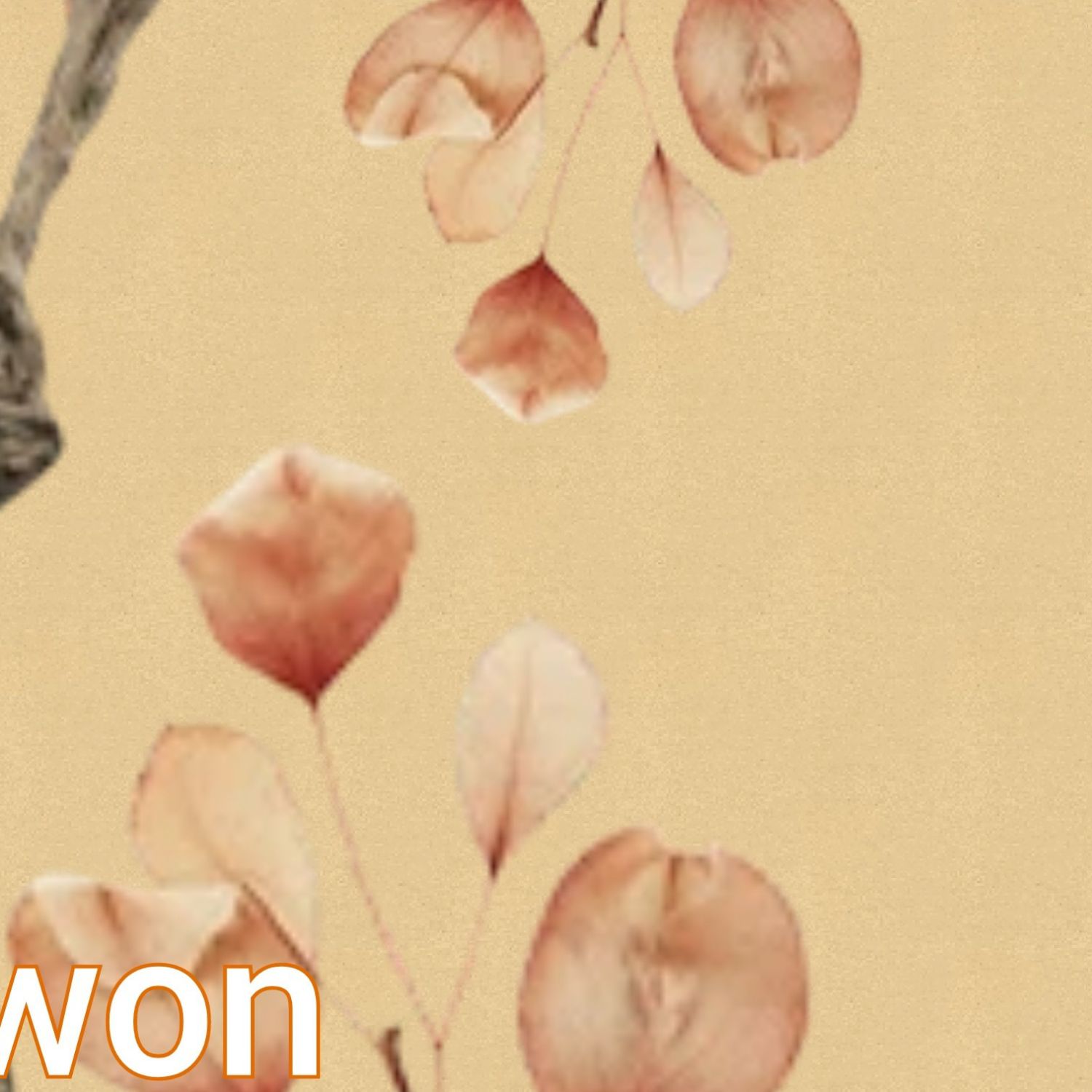 Behind-the-scenes cut of Moon Chaewon