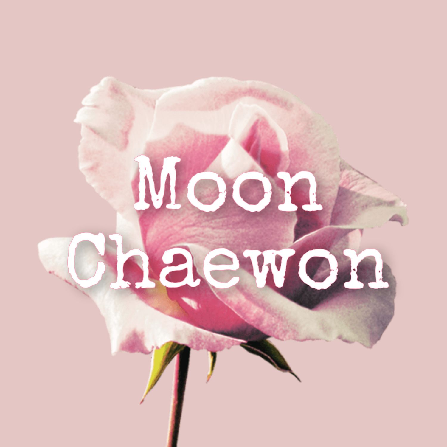Latest photo of Moon Chaewon