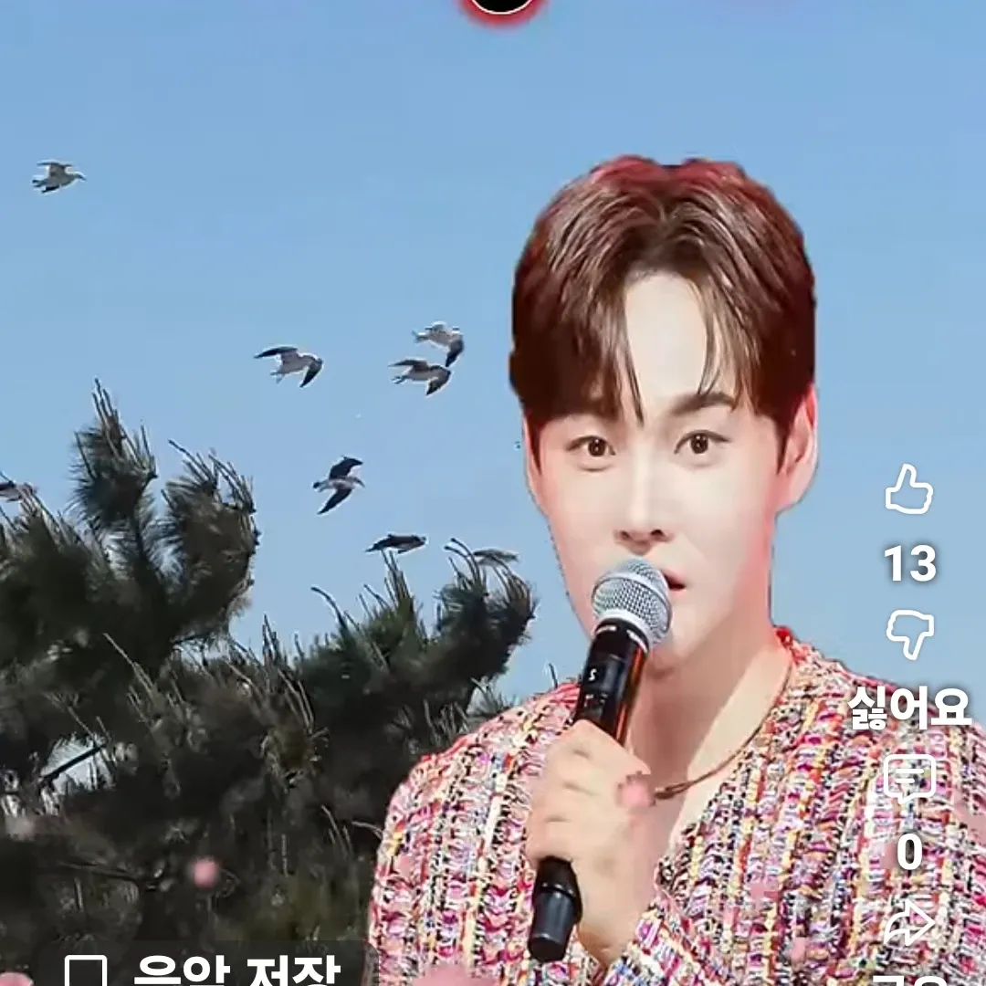 박서진 팬이 찍은 순간