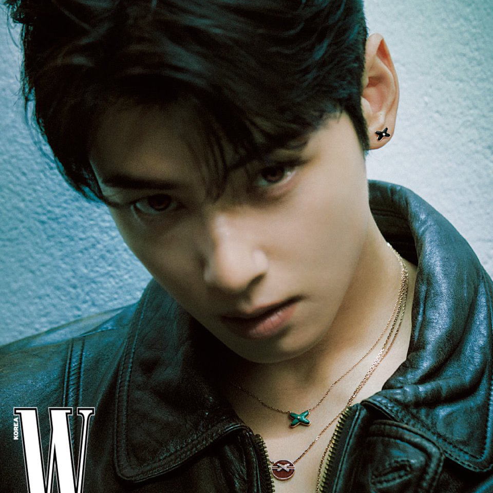 Recent activity shot of Cha Eunwoo